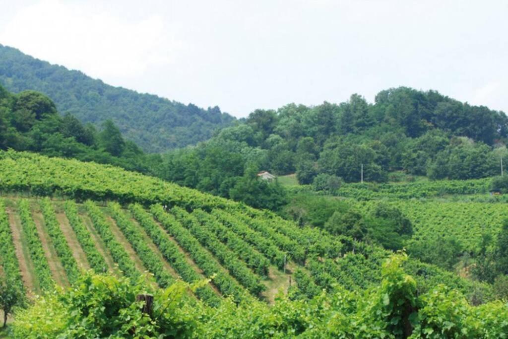 I 4 Elementi Apartman Crespano del Grappa Kültér fotó